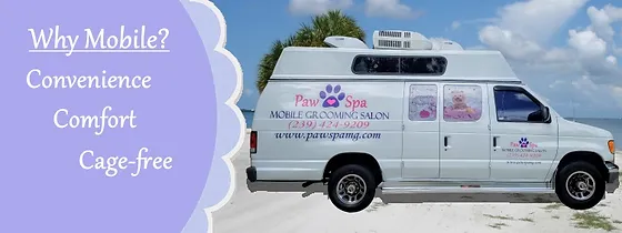 Fort Myers Dog Grooming