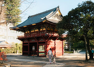 yanakawebsite-16_edited.jpg