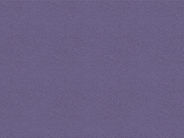 Blue Lilac.jpg