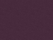 Lilac.jpg