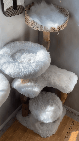 mau cat tree close up.gif