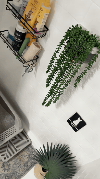 Cat Bathroom Tour 5.gif