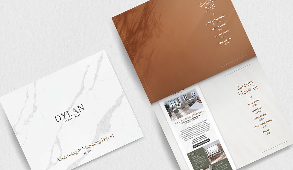 dylan report mockup.png