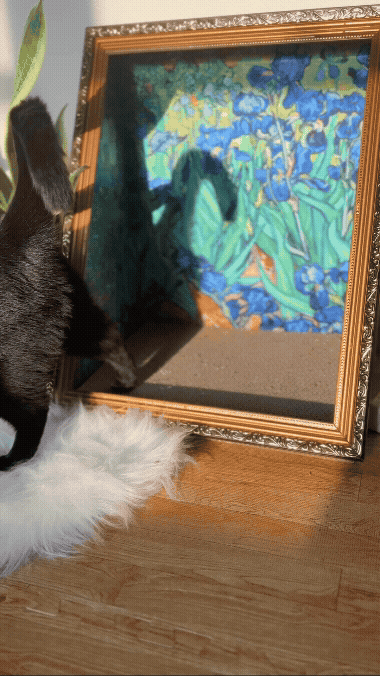frame scratcher.gif