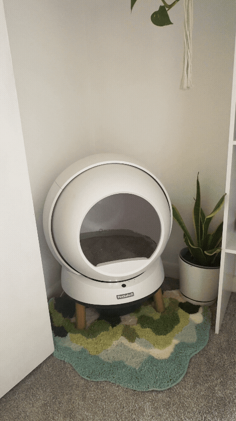 petsafe gif.gif