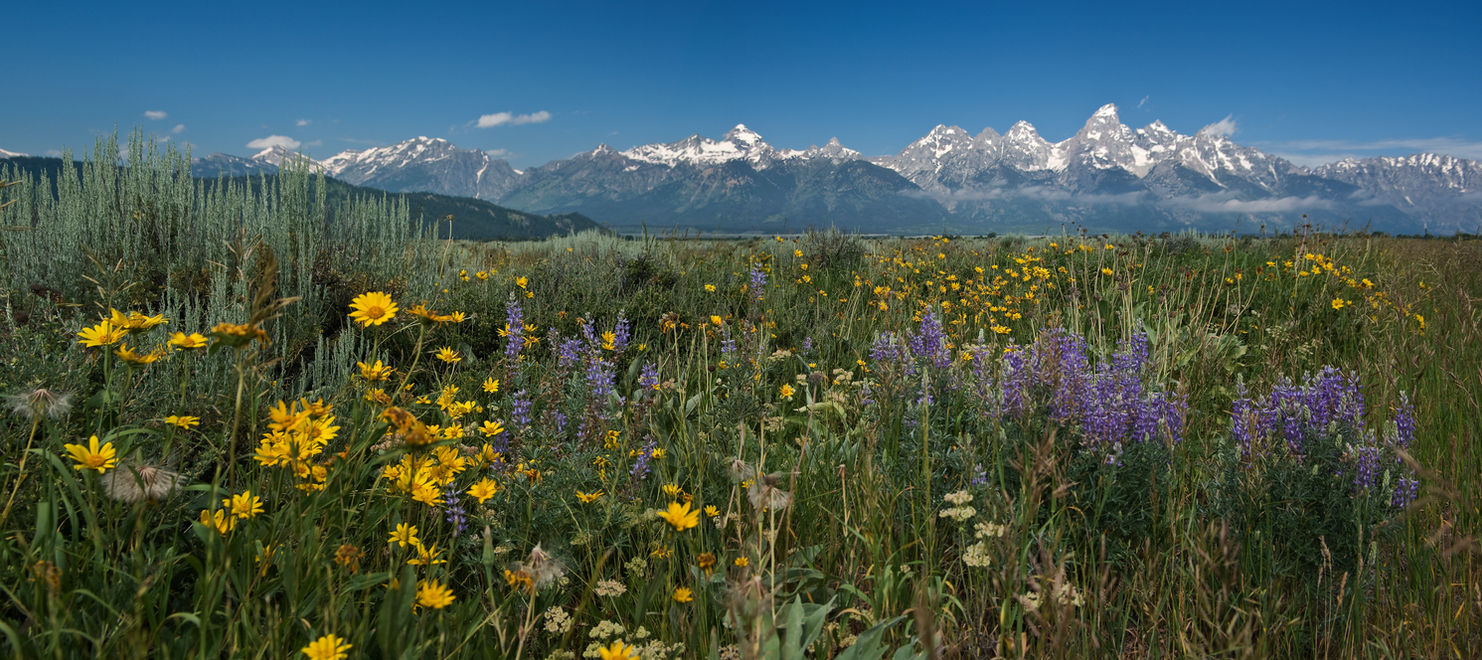 Panorama5 1250-1251.jpg