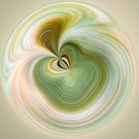 Seed Pod
