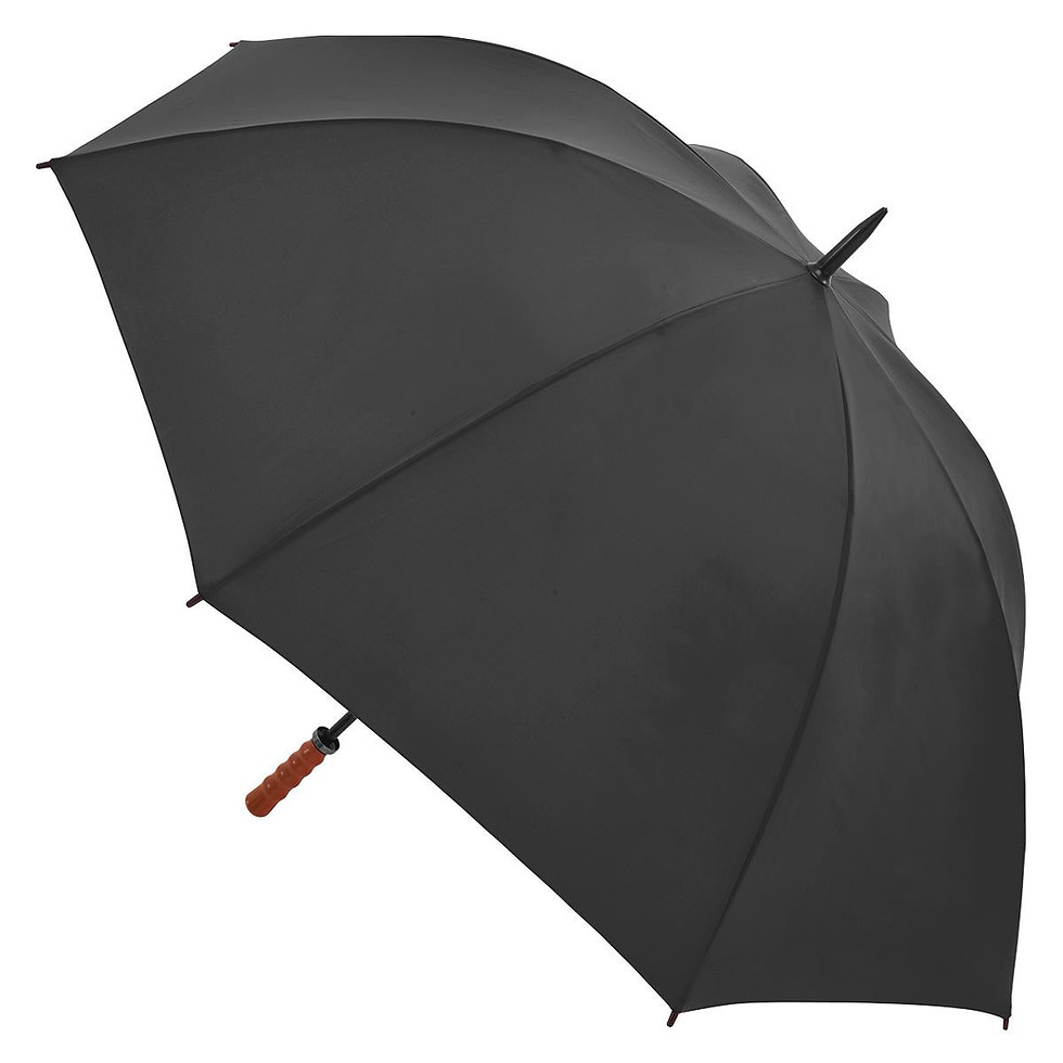Thumbnail: Virginia UmbrellaPens