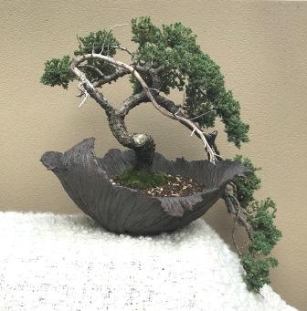 Graham's Freeform Pot