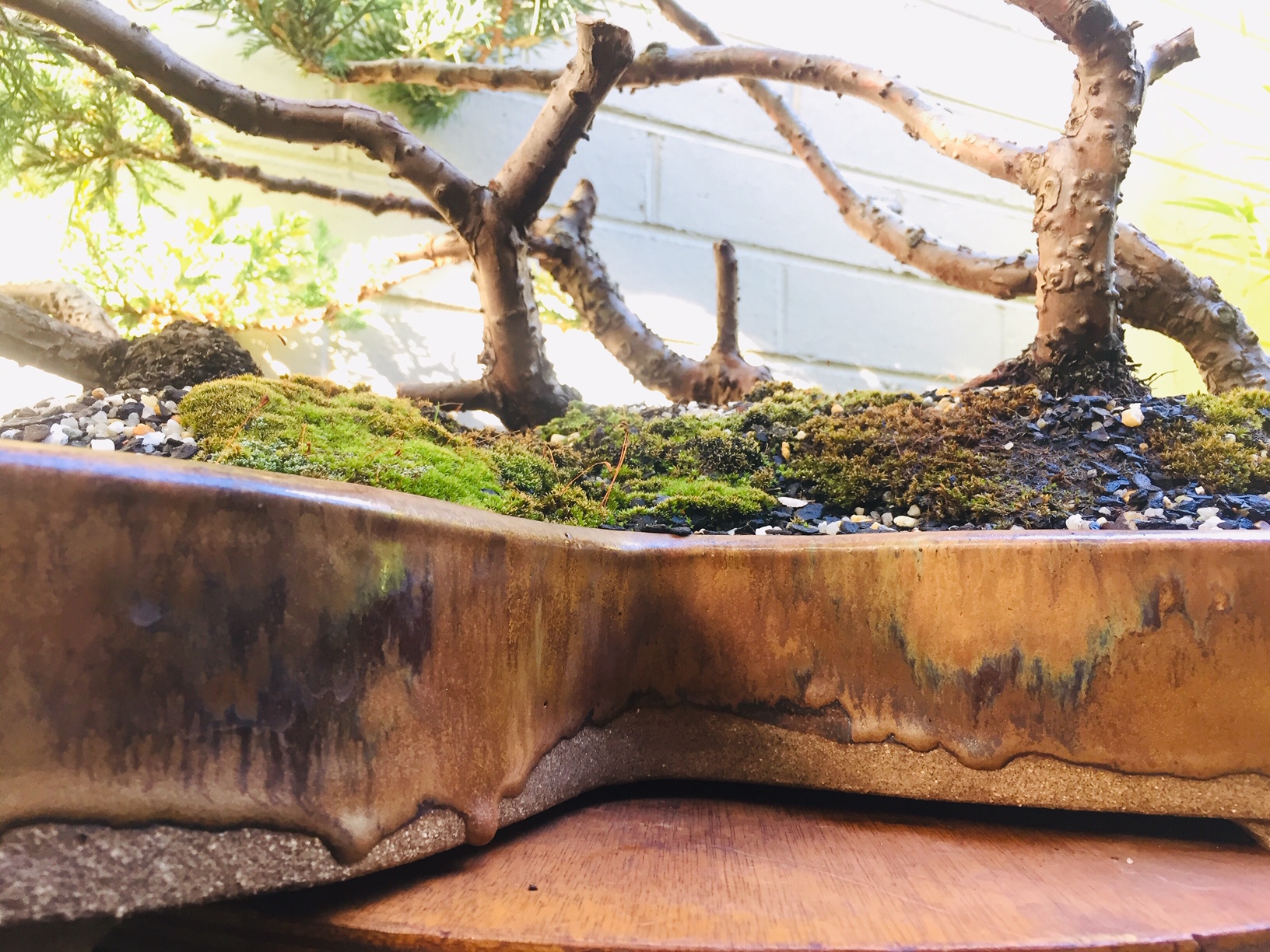 Mark L's pot - detail