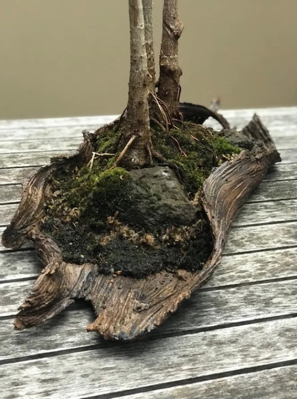 Handmade Bonsai Pots Australia Murrumbung Studio Ceramics