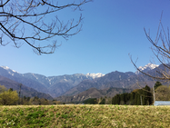 エンガワカフェミニマーケット出店のお知らせ