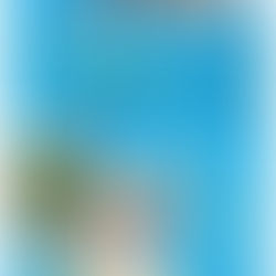 art FARMERS & born jewelery creators