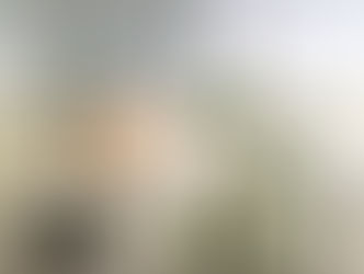 ハビタレはじまる