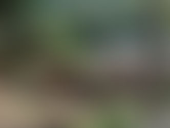 ハウスのハウス展 2016 on the river