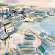 swim for life, provincetown landscape