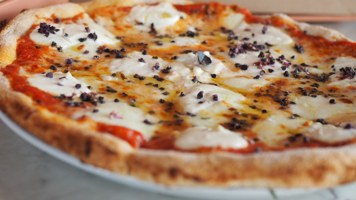 Parma Italian Roots Italian Restaurant