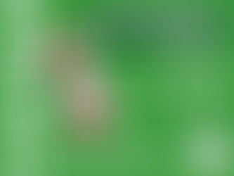 Enceramento de lixões: experiência social e ambiental de Itacaré - 08 set 2022; 9h-11h.