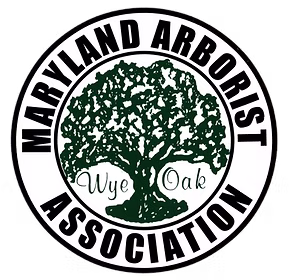 MAA Tree certificates