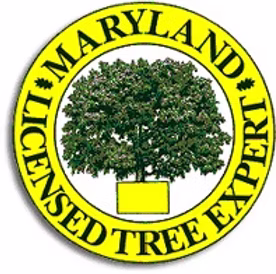 LTE - licensed tree experts
