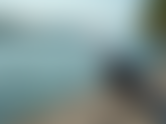 Walleye Fishing Skills for Kids: Fun and Easy Techniques to Try