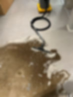 IMG_0303.JPEG