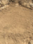 DG (3)