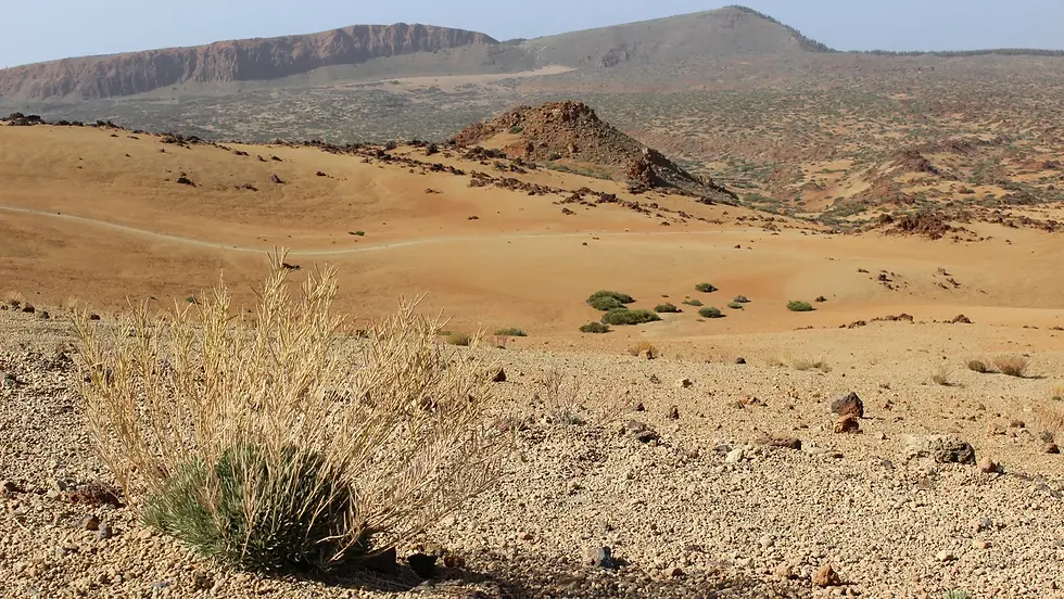 Genesis 28: God Meets Us in the Wilderness