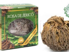 ROSA DE JERICÓ