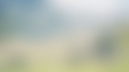 ОЧАРОВАНИЕ ПРИРОДЫ: LOVE STORY ЛЮДМИЛЫ И АЛЕКСАНДРА