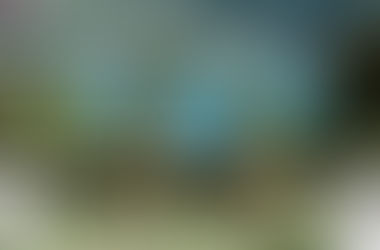 Montenegro Wedding Season