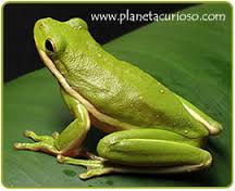 ideas-energia-naturaleza-6-9.jpg