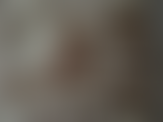 Mosaico de Orfeo encantando a los animales