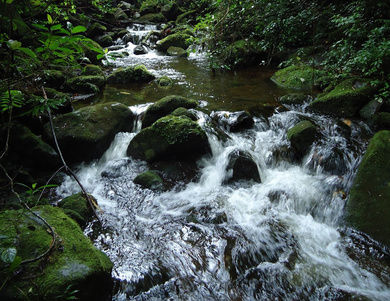 Falta de Agua Preocupa a vecinos de Tures.