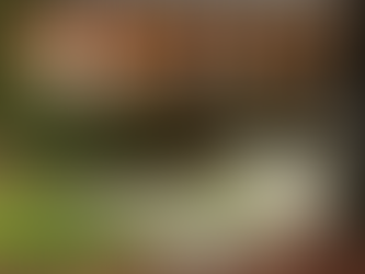 Why Pawleys Island Hammocks Make Great Christmas and New Year's Gifts