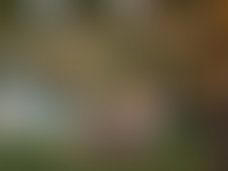 Mother’s Day Gift Guide: Outdoor Living & Patio Favorites