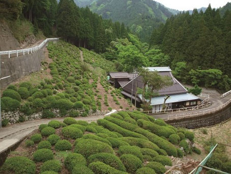 ツーリング参加者募集