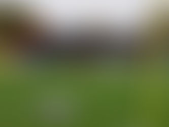 Darren Linden joins Executive Board