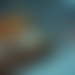 Discover the Benefits of Lapland Taxis Services in Finnish Lapland