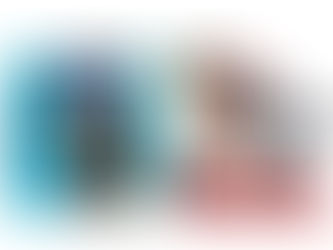口罩簡介: