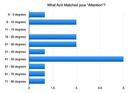 Attentional View.png