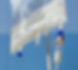 TPN_wide.jpg