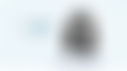 Mahshid SHARIFI, Docteure en mécanique numérique