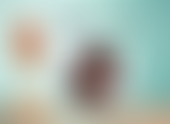 François USSEGLIO-VIRETTA, Battery scientist at National Renewable Energy Laboratory, Colorado, USA