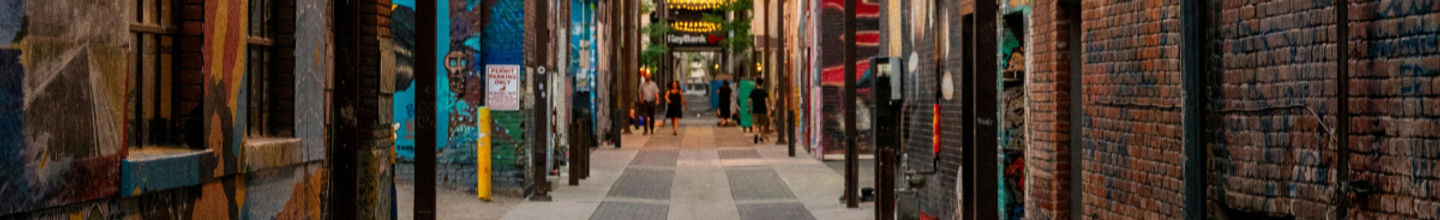 Freak Alley Wide_edited_edited.jpg