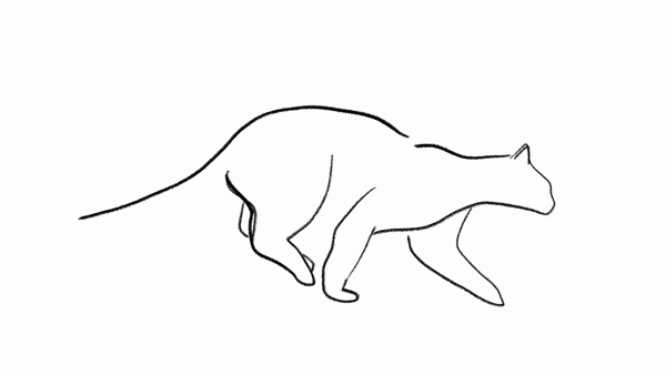 cat running gif
