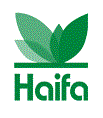 logo haifa