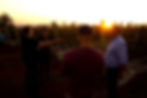 Coffee or wine, take your pick - Vineyard on a coffee farm in Brazil
