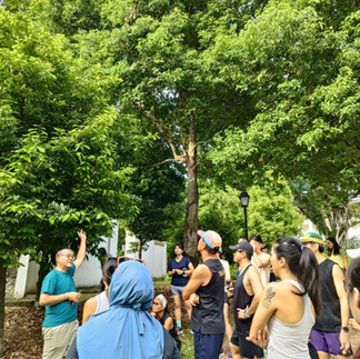 Guide pointing up at a large tree while a group of participants looks on during a nature walk