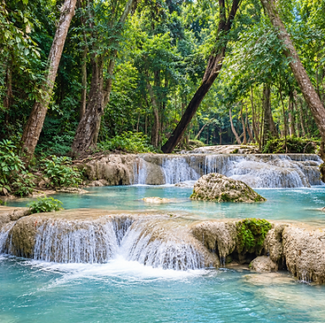 Turquoise Forest Cascade Retreat.png